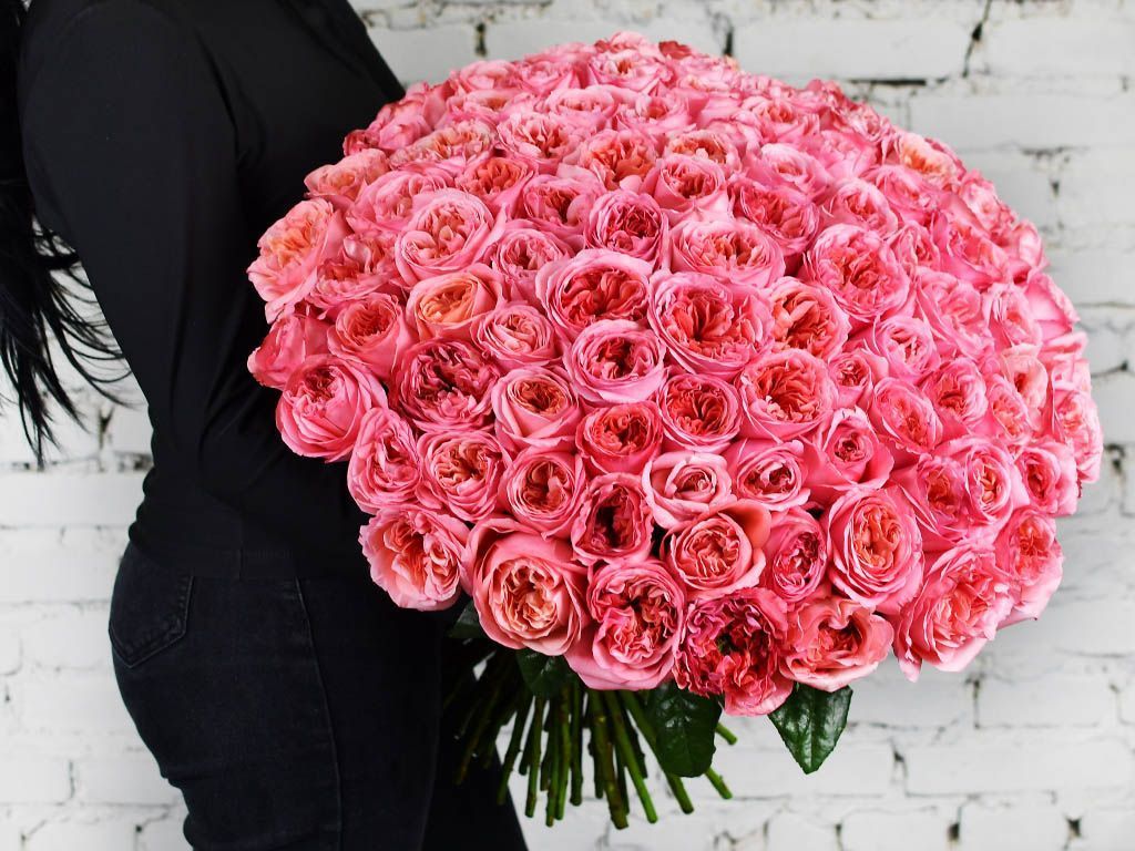 101 peony roses
