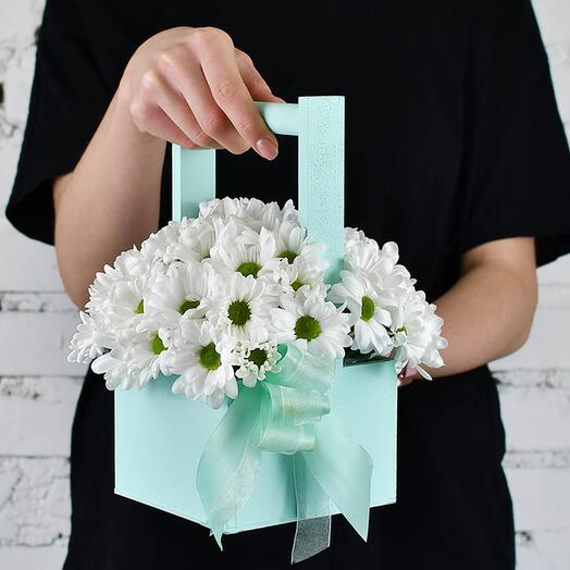 Composition of 5 bush chrysanthemums in a box