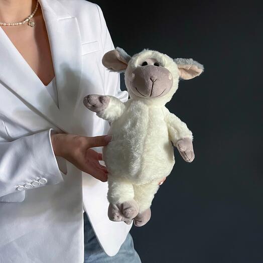 Soft toy, cute sheep
