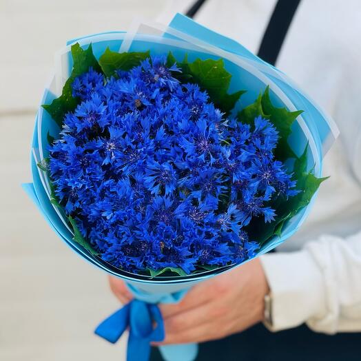 Васильки. Букет полевых Васильков