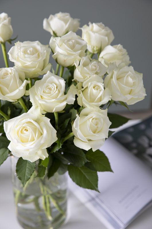 31 white roses