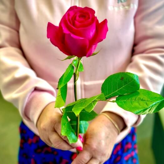 Пинк- флойд