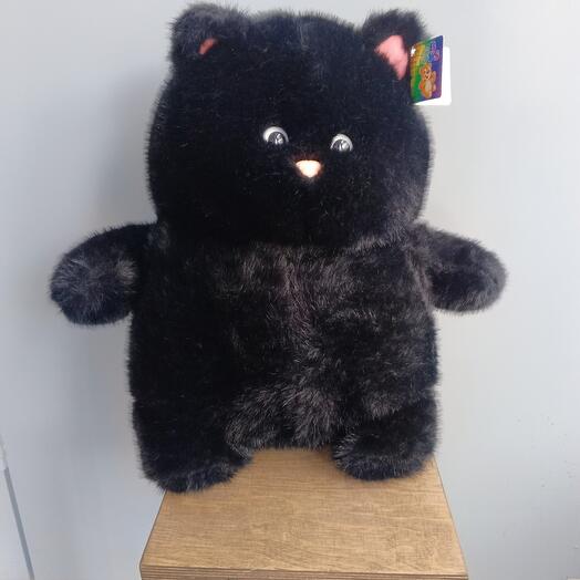 Кот толстячок