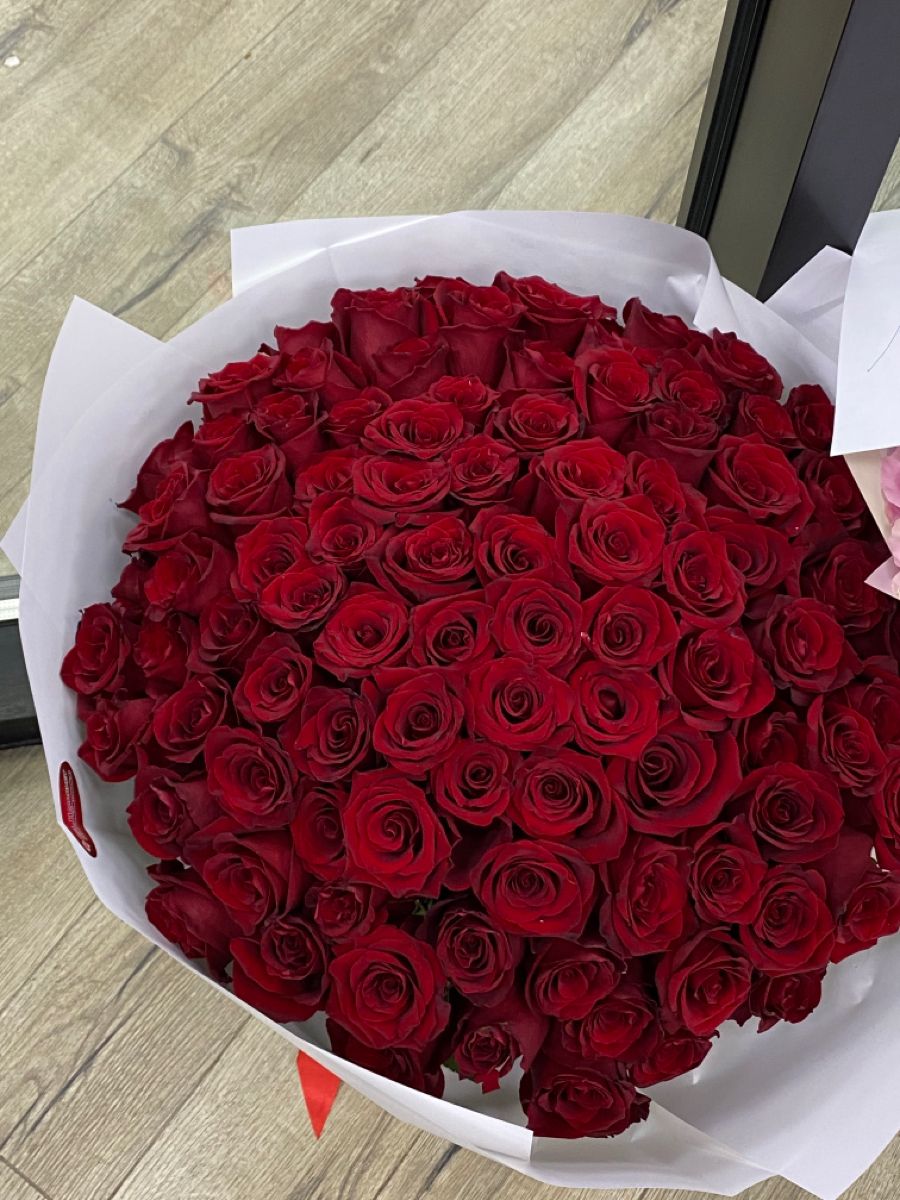 1001 красная роза величественная 💖🌹