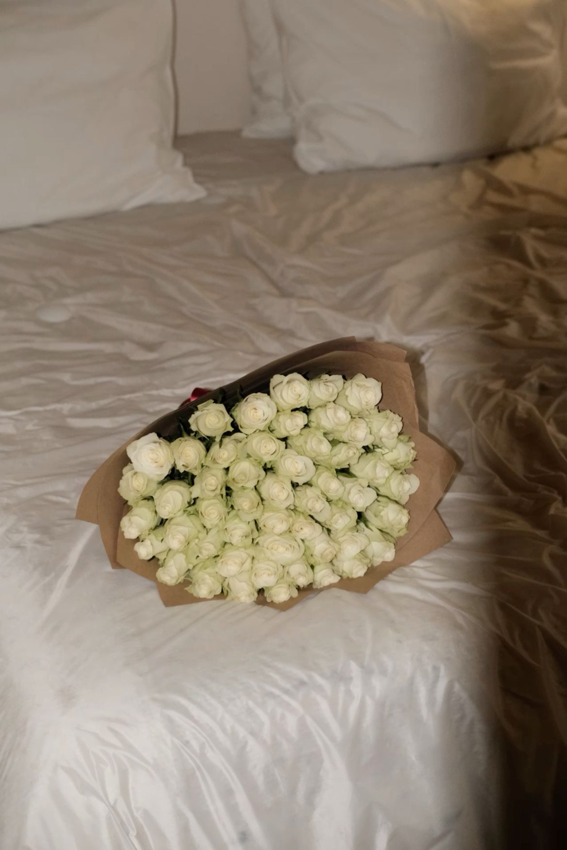 51 White Roses Perfect