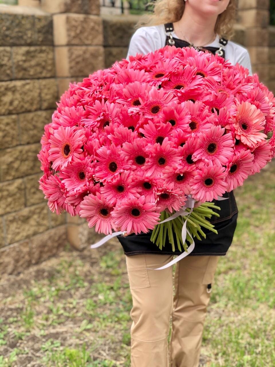 101 gerberas