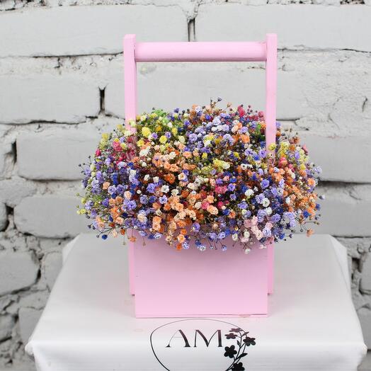 Composition 9 rainbow gypsophiles in kashpo