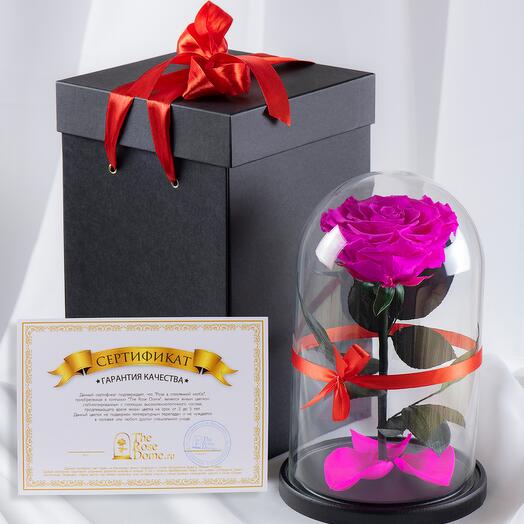 New Gift set of a rose in Premium Khit 11 cm, bright pink, Wow-Effect Black Box