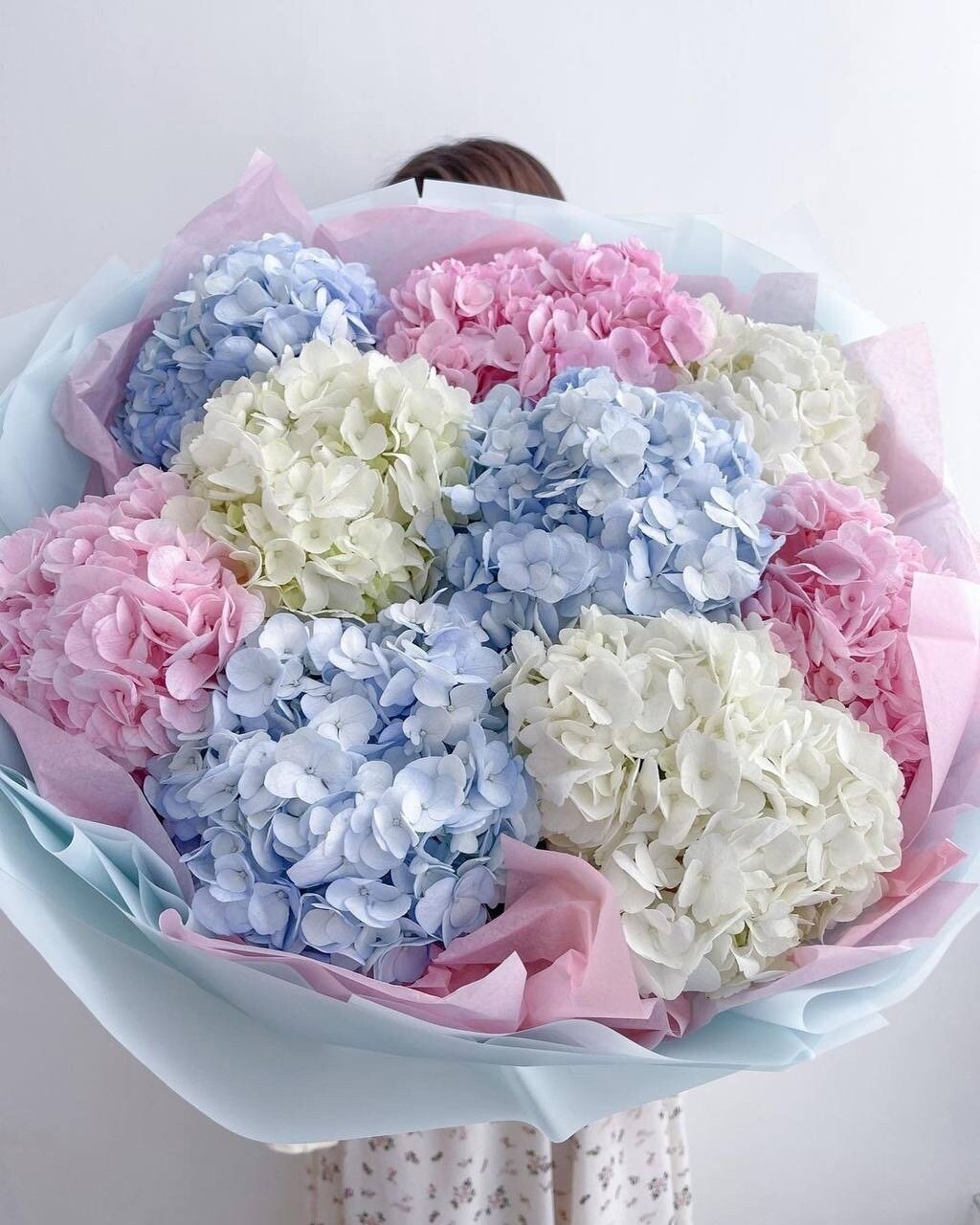 9 hydrangea