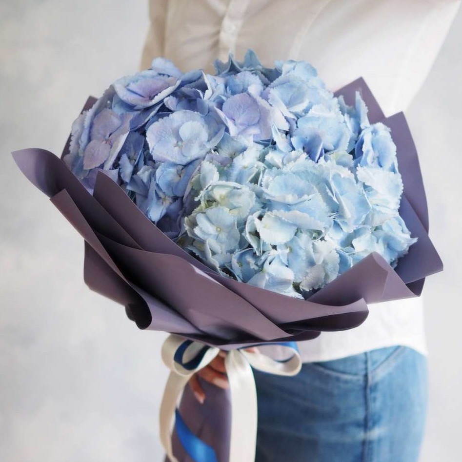 31 hydrangea