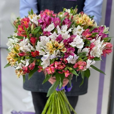 25 альстромерии