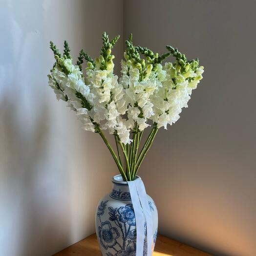 Монобукет из 15 белых антирринумов львиный зев