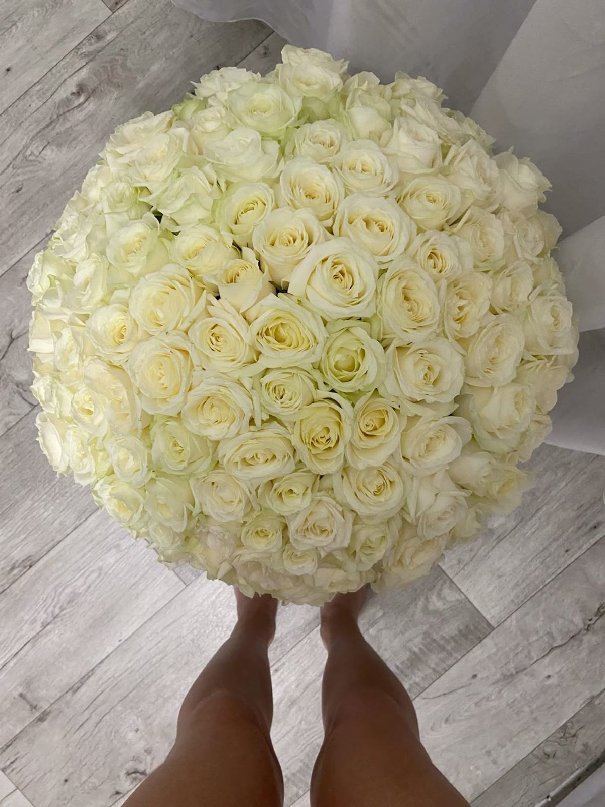 101 розы белые идеальные