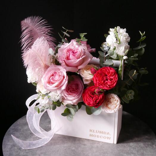 Red-pink composition in a box