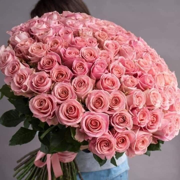 101 Pink Roses 50 cm Elegant 🌹