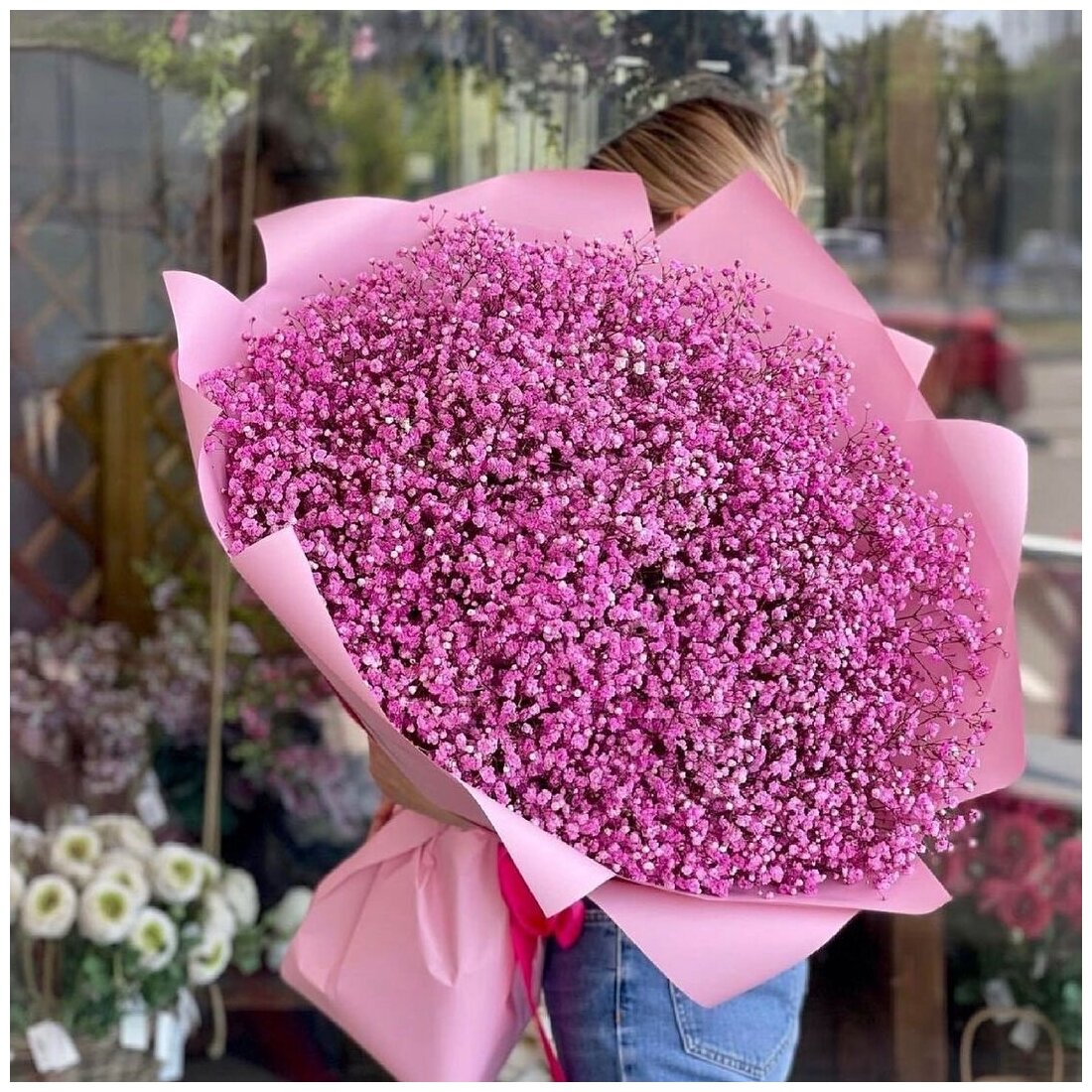 51 гипсофила