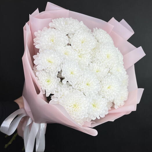 Lucy Monobuk from Altai bush chrysanthemum