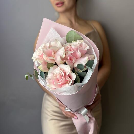 French rose Pink Mondial