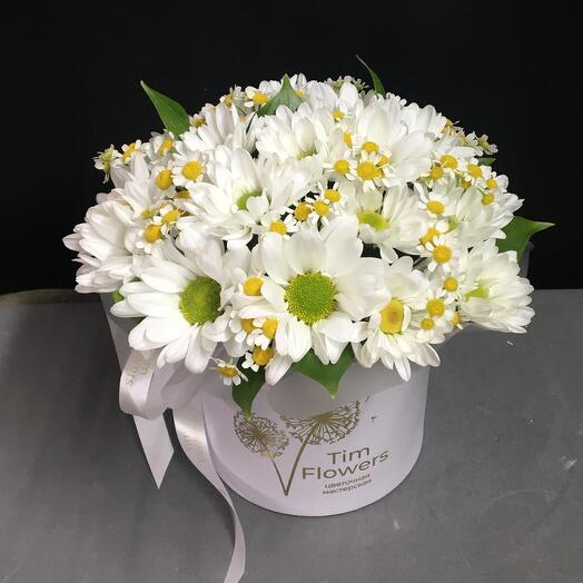 Ромашки в белой коробке