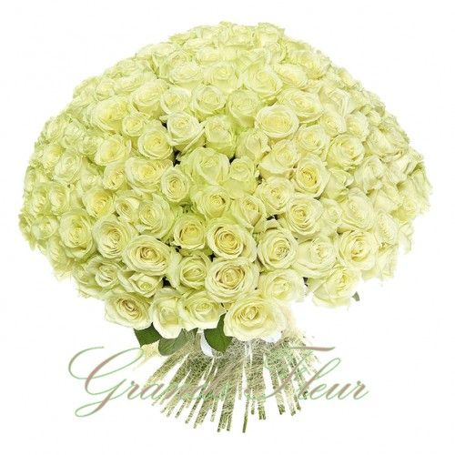 51 White Roses Perfect