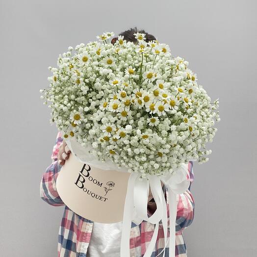 Hat box with bush chamomiles and gypsophila 🤍