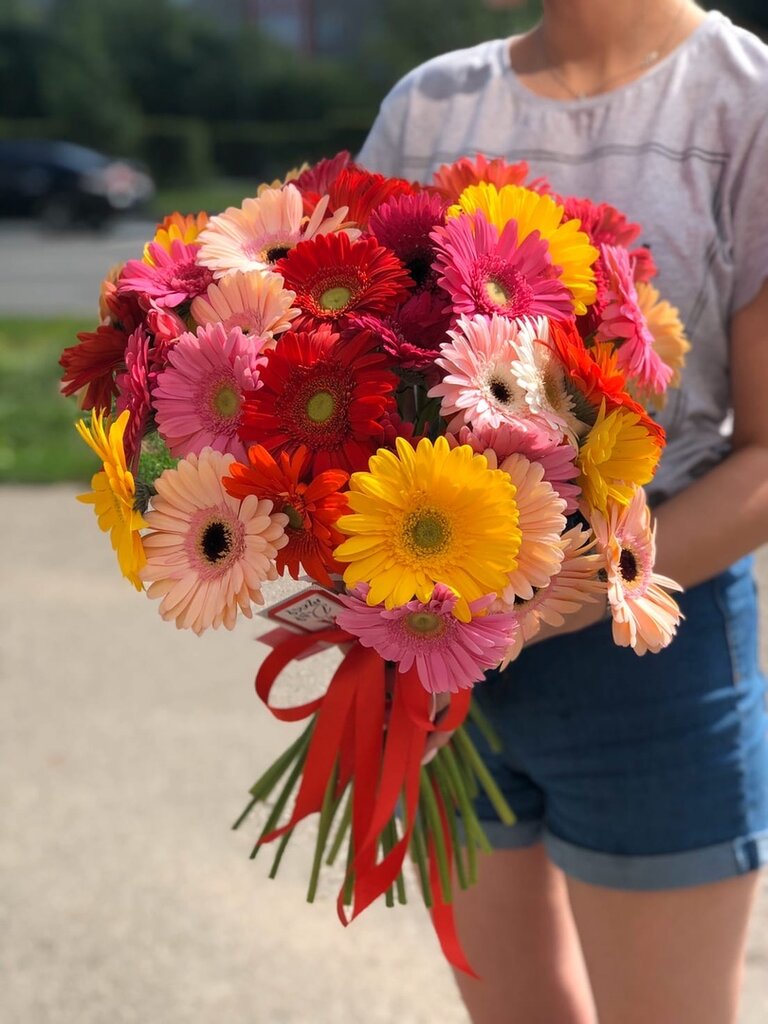 25 gerberas