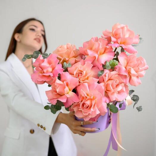 French rose in a box