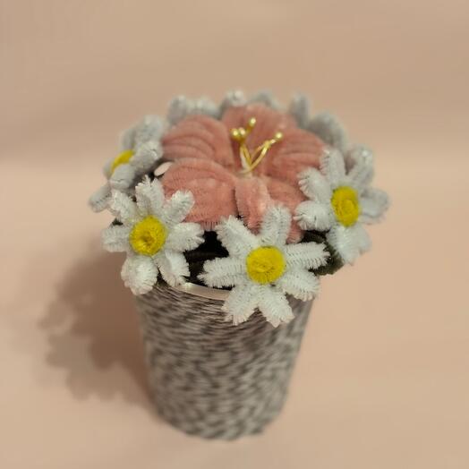 Flower composition "Magnolia with daisies"