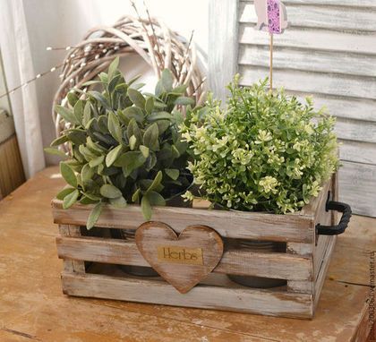 Cozy flower box 🏡🌼