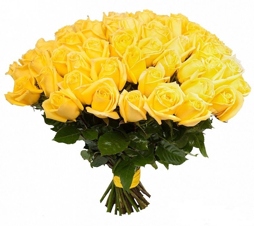7 желтых роз