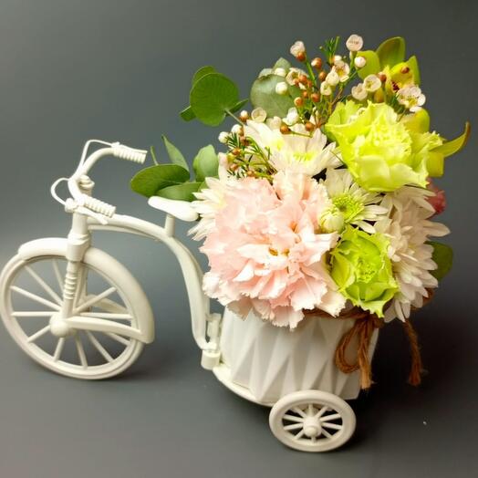 Милое путешествие