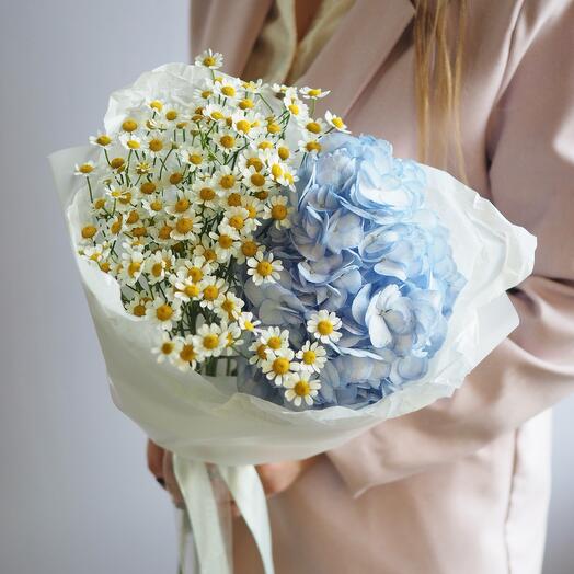 Carelessness with hydrangea and chamomile