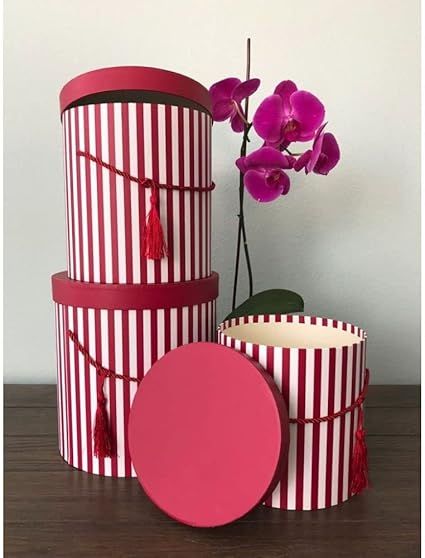 Cozy flower box 🌺