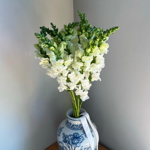 Монобукет из 9 антирринумов львиных зевов