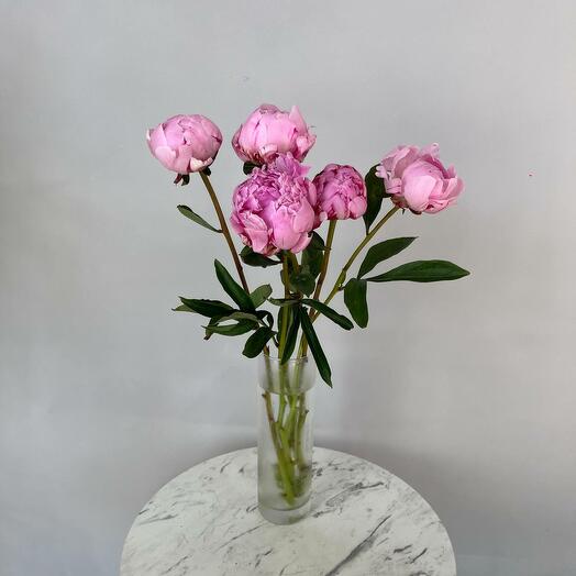 Set of 5 piones with a vase