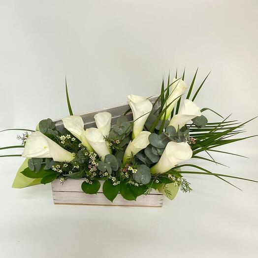 Flowers White Calles in a box