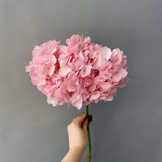 Розовая гортензия 50см