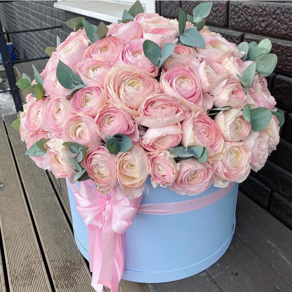 101 ранункулюс