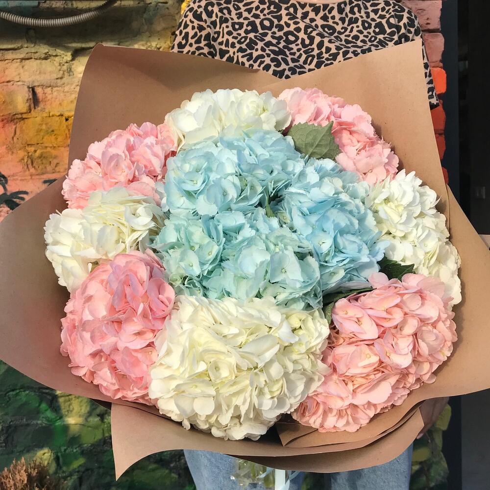 11 гортензия