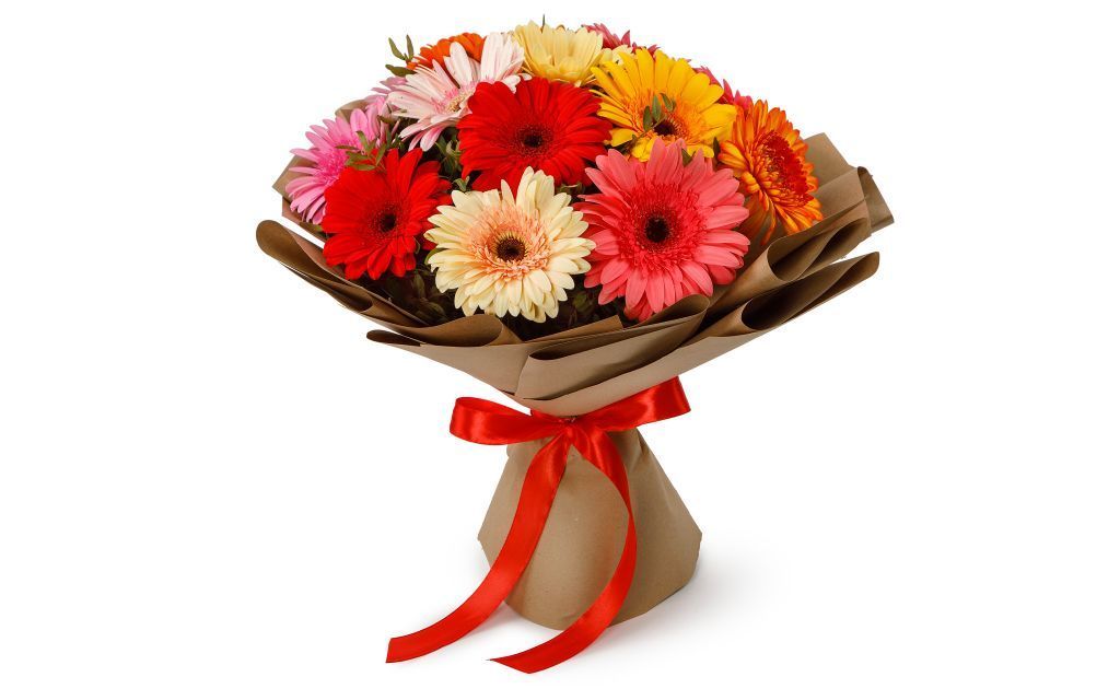15 gerberas