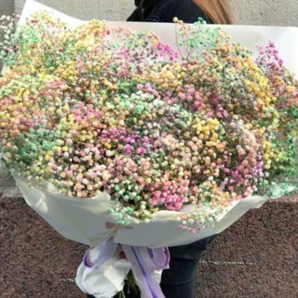 101 гипсофила