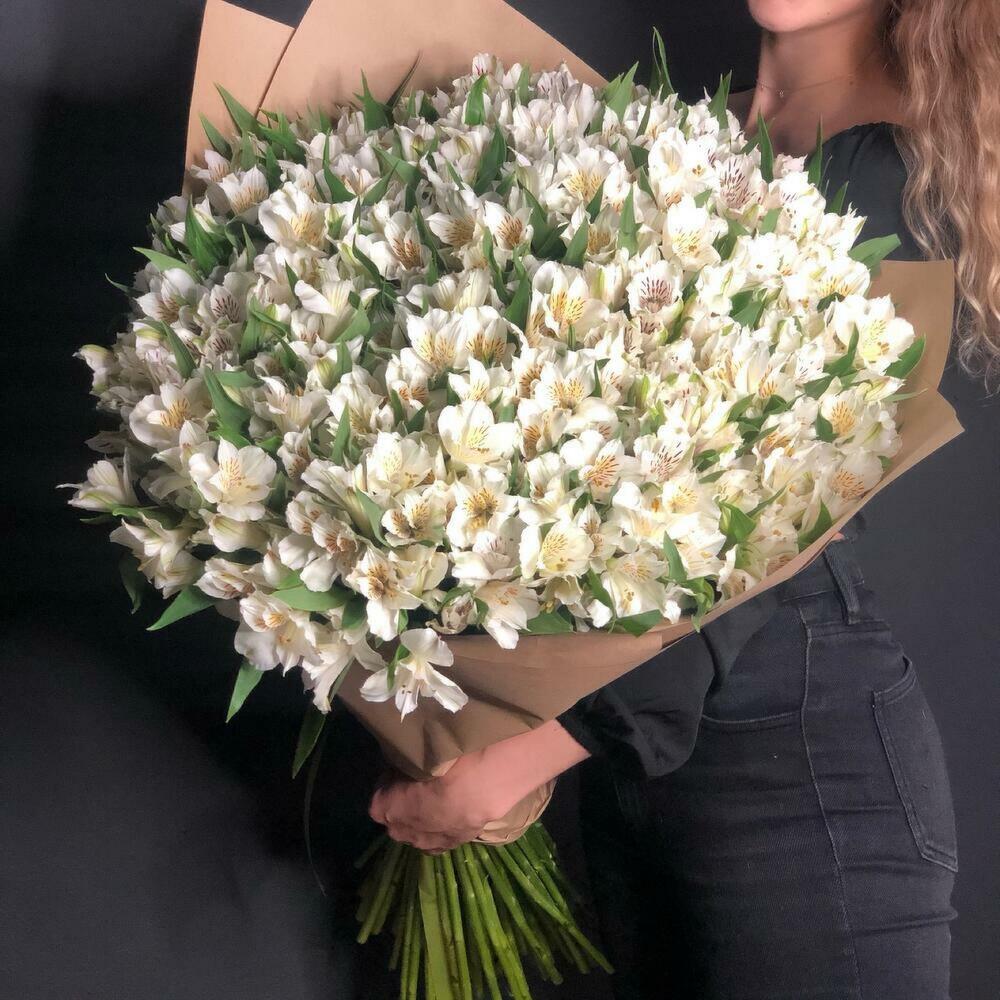 101 альстромерии