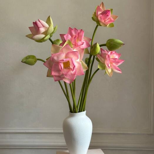 Lotuses in the interior