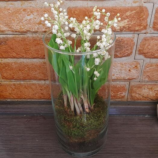 Букет 17 Ландышей с корнями в вазе