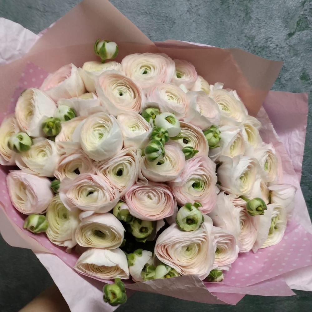 101 ранункулюс