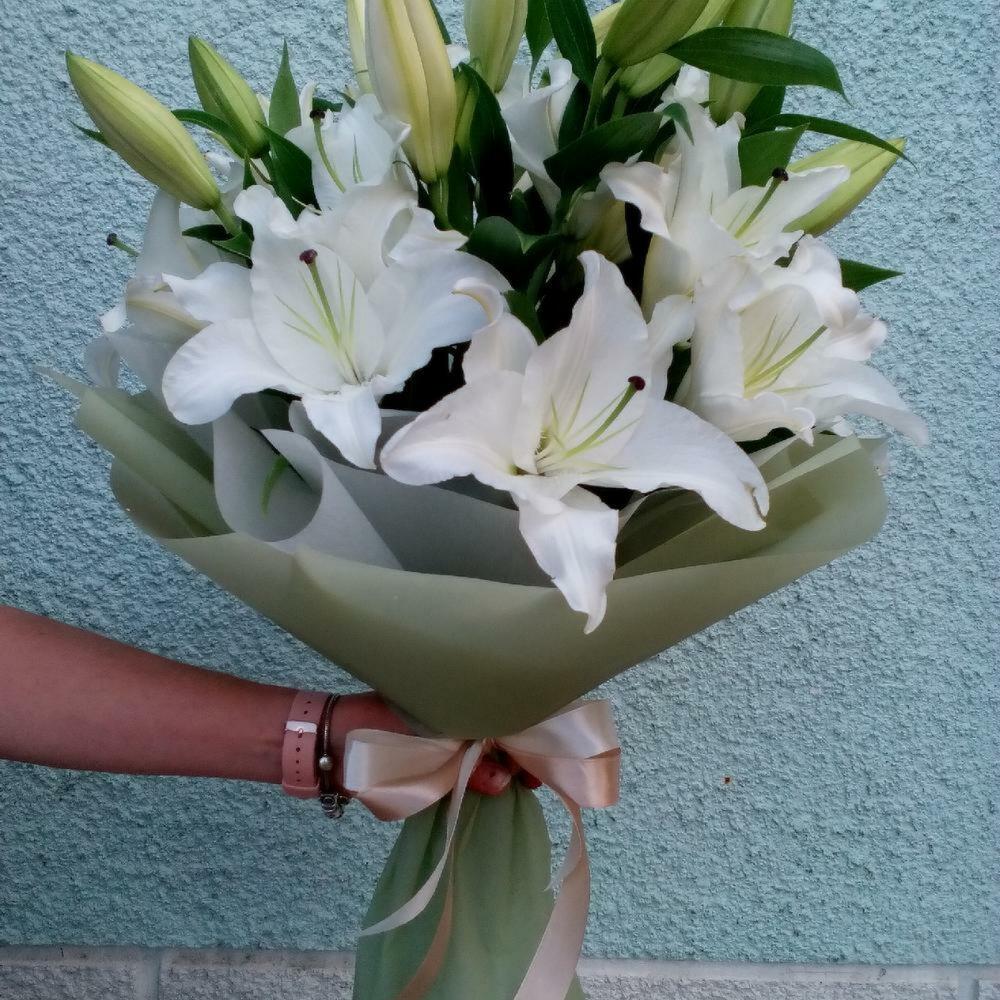 31 лилии