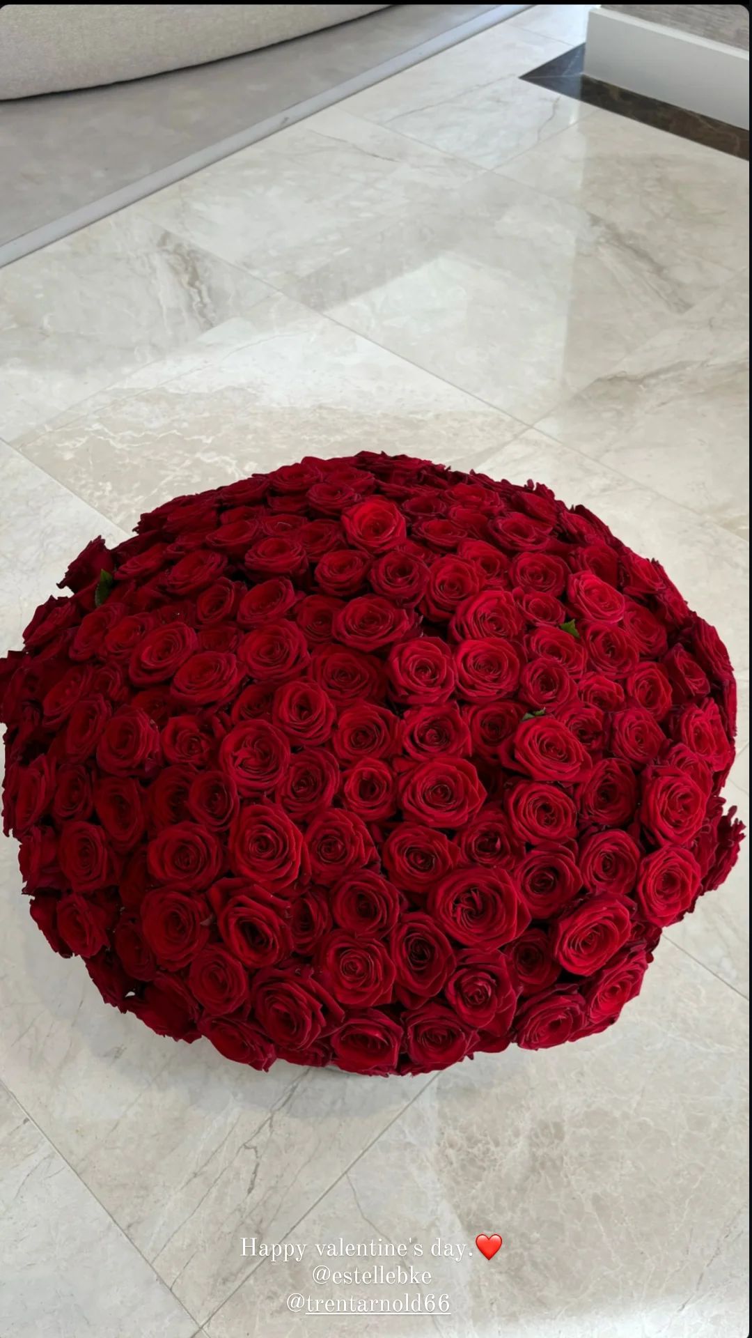 51 Red Roses Gorgeous ✨