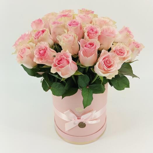 A composition of 25 delicate pink roses Top Gear in a gift box