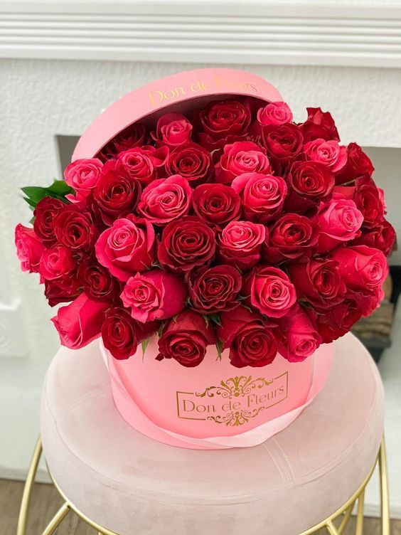 Cozy flower box 🌺