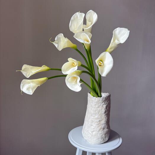 Calles for the interior